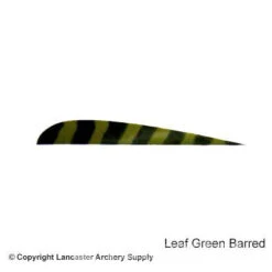 Trueflight Barred 4" RW Round Back Feather -ArrowPro Shop 5200005 leafgreen