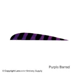 Trueflight Barred 4" RW Round Back Feather -ArrowPro Shop 5200005 purple
