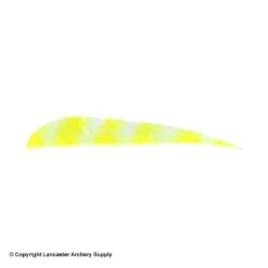 Trueflight Brite Stripes 4" RW Round Back Feather 10 Trueflight Brite Stripes 4" RW Round Back Feather -ArrowPro Shop 5200006 chartreuse white