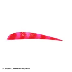 Trueflight Brite Stripes 4" RW Round Back Feather 11 Trueflight Brite Stripes 4" RW Round Back Feather -ArrowPro Shop 5200006 red pink