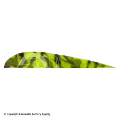 Trueflight Camo 4" RW Round Back Feather 17 Trueflight Camo 4" RW Round Back Feather -ArrowPro Shop 5200010 chartreuse