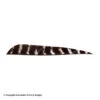Bearpaw 4" Parabolic Natural Barred Feather -ArrowPro Shop 6140108