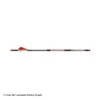 Bloodsport Judgement Fletched Arrows -ArrowPro Shop 8500066 fletched
