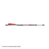 Bloodsport Witness Crossbow Arrows -ArrowPro Shop 8500069