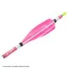 XsWings Vanes (100mm) -ArrowPro Shop 9320007 high pink
